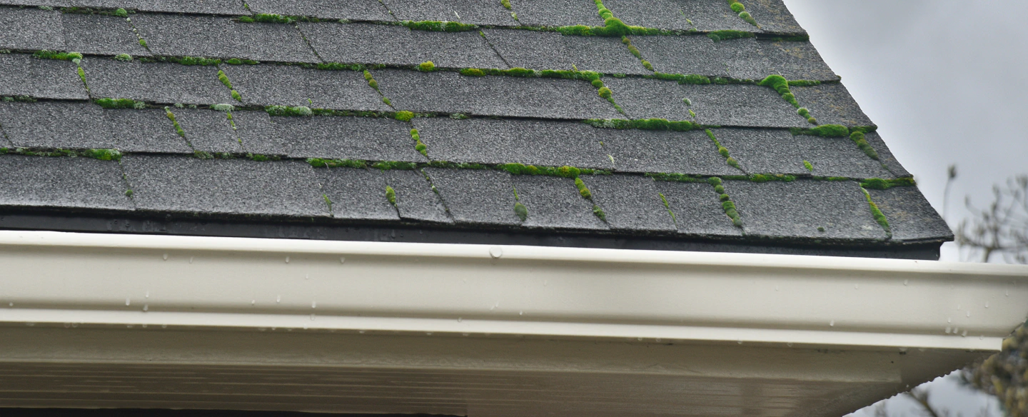 seamless gutter installed in a house with asphalt shingle roof san jose ca